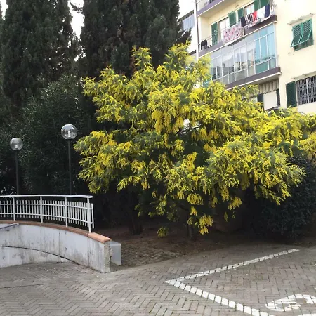 伊莎贝拉公寓 * 佛罗伦萨