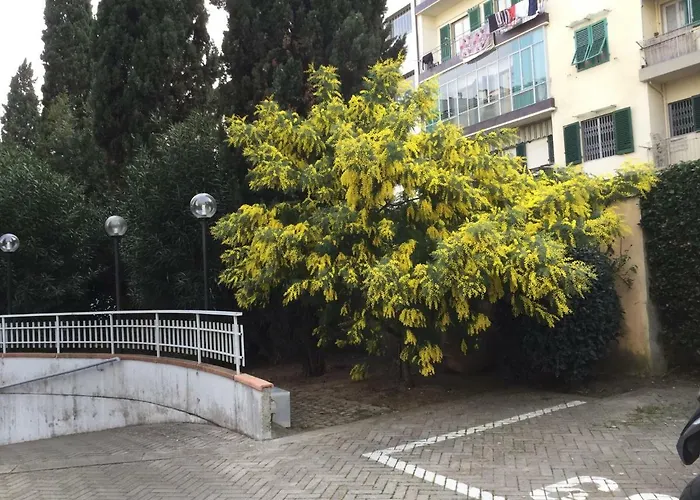 Isabella * Florens